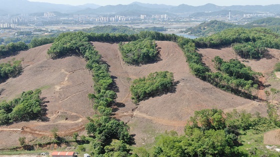 NSP통신-▲아산시가 친환경벌채지 복구조림을 완료했다. (아산시)