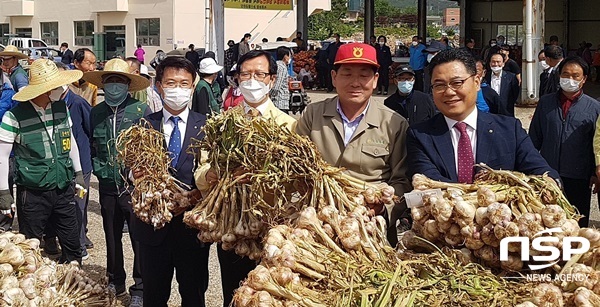 NSP통신-14일 고흥 녹동농협 공판장에서 열린 햇마늘 산지경매. (전남농협)