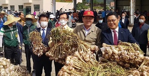 [NSP PHOTO]전남농협-고흥 녹동농협, 14일 햇마늘 첫 산지경매 개시