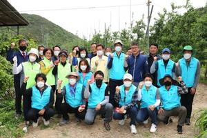 [NSP PHOTO]의성군, 농축산부·경북도청·농협과 농번기 일손돕기 나서