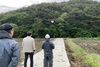 [NSP PHOTO]청양군, 소나무 재선충병 항공방제 실시