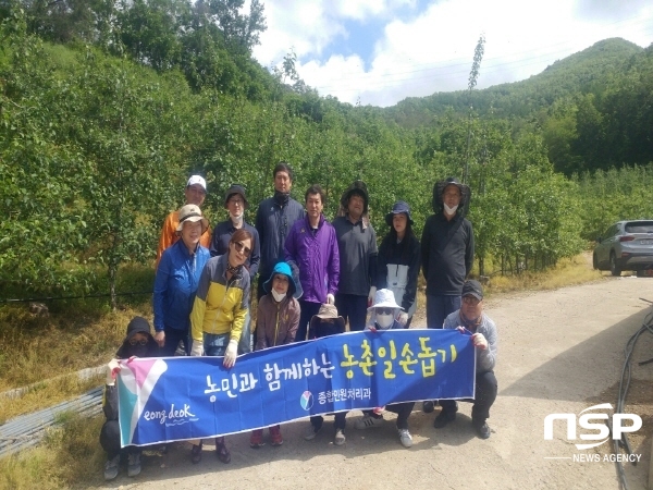 NSP통신-영덕군 종합민원처리과는 본격적인 영농철을 맞아 21일 지품면 속곡리 사과재배 농가를 방문해 사과 열매솎기 농촌 일손 돕기 봉사활동을 진행했다 (영덕군)