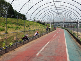 [NSP PHOTO]안동시, 시민들의 힐링 공간 낙동강변 박 터널 조성