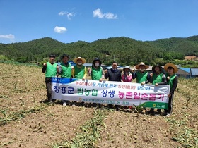 [NSP PHOTO]농협 장흥군지부, 농촌일손 돕기 전개