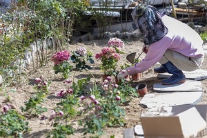 [NSP PHOTO]전주시, 도심 곳곳 유휴공간에 쌈지정원 조성