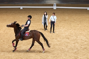 [NSP PHOTO]마사회, 경주 퇴역마 체계 개선 수립