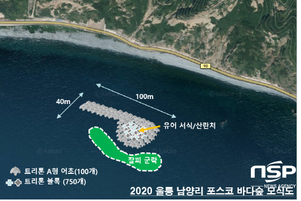 NSP통신-포스코는 울릉 남양리 연안 마을어장 내 광합성이 가능한 수심 약 17m 내외에 바다숲을 조성했다.사진은 바다숲 모식도 (울릉군)