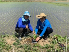 [NSP PHOTO]광양농협, 친환경 방제기술 시범 운영