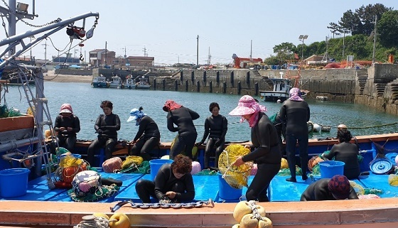 NSP통신-▲보령시가 도서지역 어촌계 해녀 37명에게 잠수장비를 지원했다. (보령시)
