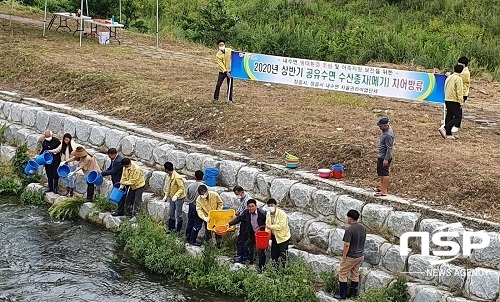 [NSP PHOTO]정읍시, 정읍·칠보·원평천에 메기 치어 50만 마리 방류