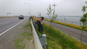 [NSP PHOTO]김포시, 주요 도로변 제초작업 실시