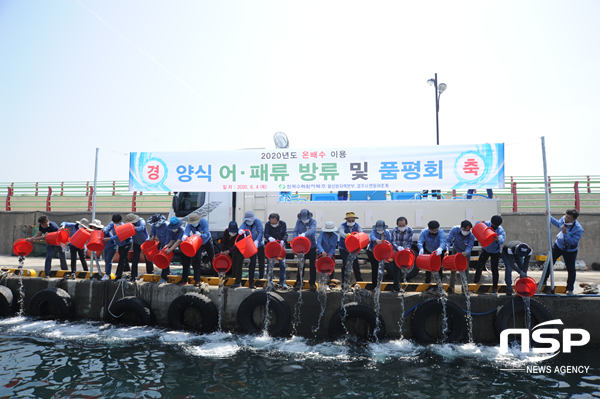 NSP통신-한국수력원자력 월성원자력본부가 제25회 바다의 날을 기념해 지난 4일 경주시 감포읍 연동항구와 인근연안에서 원전 온배수를 이용해 양식한 강도다리 치어 10만 마리, 전복치패 9만미를 방류하고 있다. (월성본부)