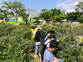 [NSP PHOTO]경주 동궁원, 블루베리 열매따기 체험행사 실시