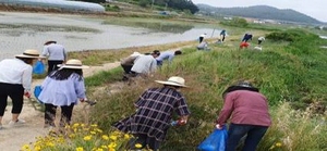 [NSP PHOTO]영암군 서호면, 제25회 환경의 날 맞아 정화활동 실시