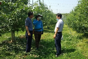 [NSP PHOTO]장성군,  농업현장 애로 해결 농업인 상담소 운영