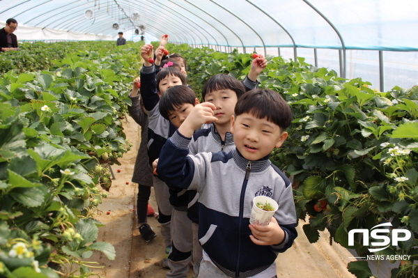 NSP통신-경상북도교육청은 놀이 중심 교육과정 운영에 필요한 체험학습을 위해 도내 공·사립유치원에 가족사랑·우리마을 체험학습 활동비 3억5850만 원을 지원한다고 12일 밝혔다. (경상북도교육청)