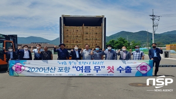 NSP통신-지난주부터 본격 출하되고 있는 포항 여름 무가 세척·포장과정을 거쳐 15일 미국(LA)으로 첫 수출길에 올랐다 (포항시)