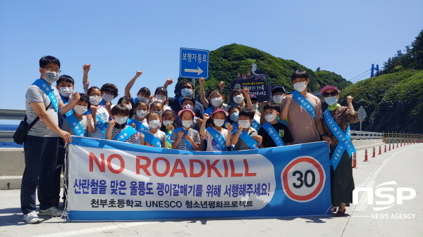 NSP통신-천부초등학교 전교생과 교사들은 16일 관내 관음도 일대에서 울릉도 괭이갈매기 보호 캠페인 후 기념촬영을 하고있다. (울릉교육지원청)