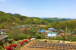 [NSP PHOTO]경주 농촌체험휴양마을, 체험·숙박비 이용료 50%할인