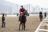 [NSP PHOTO]한국마사회, 19일부터 고객 없이·마주 대상 경마 재개