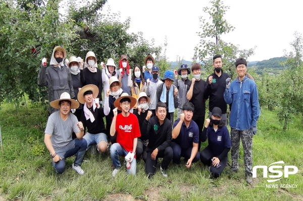 NSP통신-경상북도청년봉사단은 도 청년정책관실 직원들과 함께 지난 17일 일손이 부족해 어려움을 겪고 있는 예천군 지보면의 청년농가를 찾아 사과 적과작업을 도왔다 (경상북도)