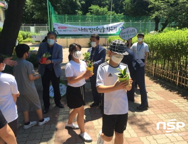 NSP통신-포항시는 철강공단 인근 초등학교에 실내 공기질 개선과 어린이 정서 안정을 위해 식물을 활용한 교실숲을 조성한다 (포항시)