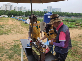 [NSP PHOTO]안산시, 은행열매 제조 친환경 천연살충제 무료나눔