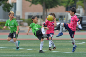 [NSP PHOTO]경주시, 대한축구협회 주최 축구대회 전체 취소 결정 경제 활성화 난항