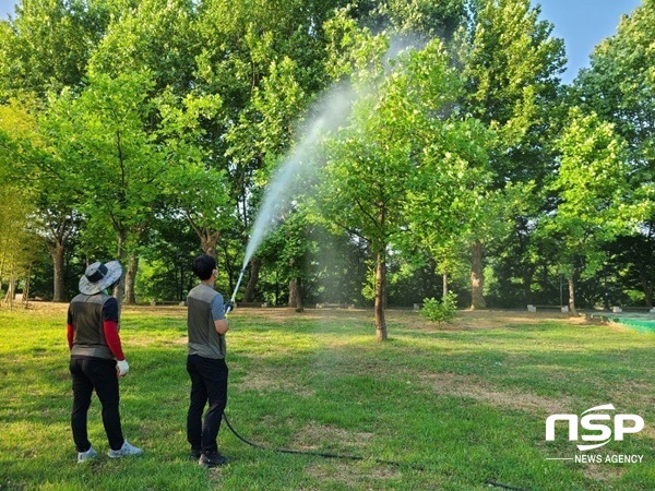 NSP통신-담양군 돌발해충 방제작업. (담양군)