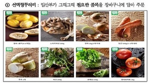 [NSP PHOTO]서울 양천구, 임산부에 24만원 상당 친환경농산물 꾸러미 지원