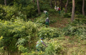 [NSP PHOTO]청송군, 여름철 산림사업장 특별점검 나서