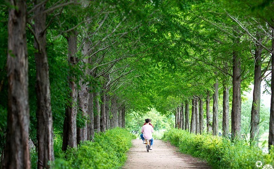 NSP통신-▲공주시가 비대면 여행코스 6개 테마를 발굴하고 적극 홍보에 나섰다. (공주시)