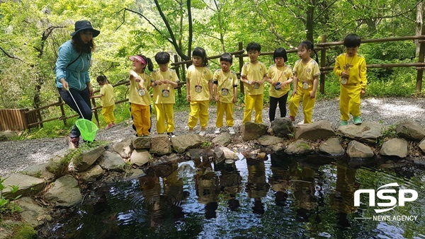 NSP통신-광주 동구 너릿재 유아숲. (광주 동구)