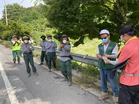 [NSP PHOTO]담양군, 폭염 대비 산림사업장 특별점검