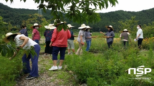 NSP통신-울진군은 지난 11일 울진읍 다약정(대표 배재영)에서 치유농업 프로그램을 시범 운영했다 (울진군)