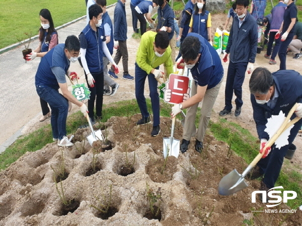 NSP통신-포항시가 녹색생태도시 조성을 위해 10년(2017~2026) 목표로 역점 추진하고 있는 2천만그루 생명의 나무심기 운동 이 시민들의 활발한 참여로 지난 6월말 기준 893만 8천여 그루를 식재해 4년 누적 목표 800만 그루 대비 111.7%(2020년 목표 200만 그루의 112.6%)를 달성하는 성과를 거두었다 (포항시)