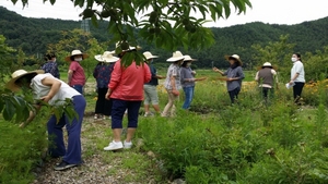 [NSP PHOTO]울진군, 약초를 활용한 원예치유 프로그램 시범 운영