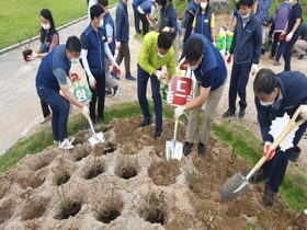 [NSP PHOTO]포항시, GreenWay 명품녹색도시 조성에 성큼 다가서