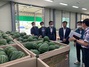 [NSP PHOTO]진안군, 진안고원 꿀수박 본격 출하