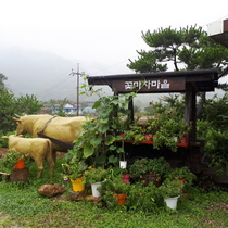 [NSP PHOTO]순천 꽃마차마을, 여름휴가엔 농촌체험휴양마을로