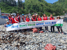 [NSP PHOTO]NH농협 울릉군지부 , 울릉도 환경정화 활동 펼쳐