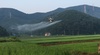 [NSP PHOTO]보령시, 벼 병해충 항공·공동방제 추진
