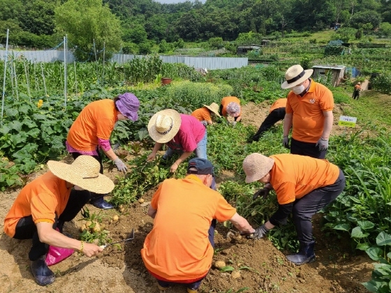 NSP통신-경증치매어르신이 부천시소사치매센터에서 운영하는 케어팜에 참여하고 있다. (부천시)