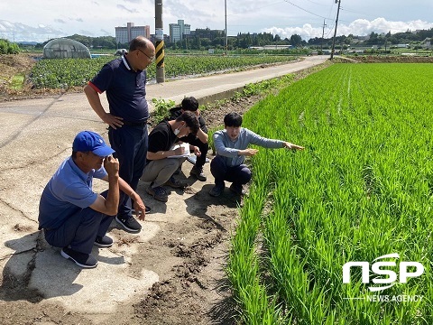 [NSP PHOTO]완주군, 고품질 쌀 생산 현장 활동 총력