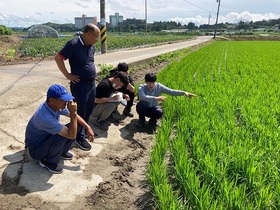 [NSP PHOTO]완주군, 고품질 쌀 생산 현장 활동 총력