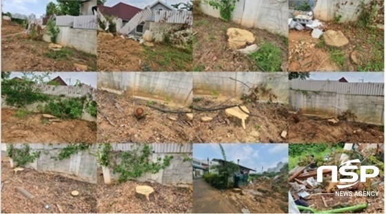 NSP통신-고양시 원당4구역 주택재개발사업지구내 사라진 나무들(사진=강은태 기자)