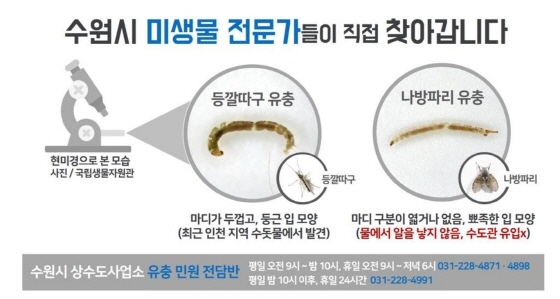 NSP통신-수돗물 유충 민원 전담반 안내. (수원시)