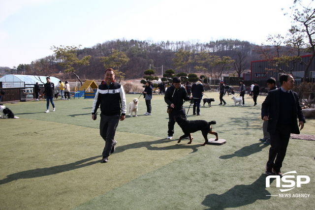 NSP통신-이웅종 연암대학교 동물보호계열 교수가 아주대학교 대학원 의학과에서 소아 치료분야에서 동물매개치료 도입의 필요성 이라는 논문으로 석사학위를 취득했다. 사진은 이웅종 교수가 반려동물과 바른 산책을 교육하는 모습. (김종식 기자)