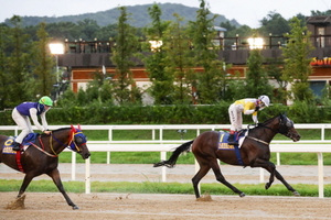 [NSP PHOTO]한국마사회 스포츠조선배, 원더풀이블 우승…장거리 신예 강자 부상