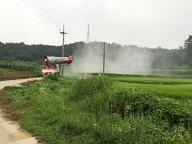 [NSP PHOTO]담양군, 잎도열병 등 벼 병해충 적기 방제 당부